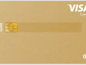 PayLife Gold Plus